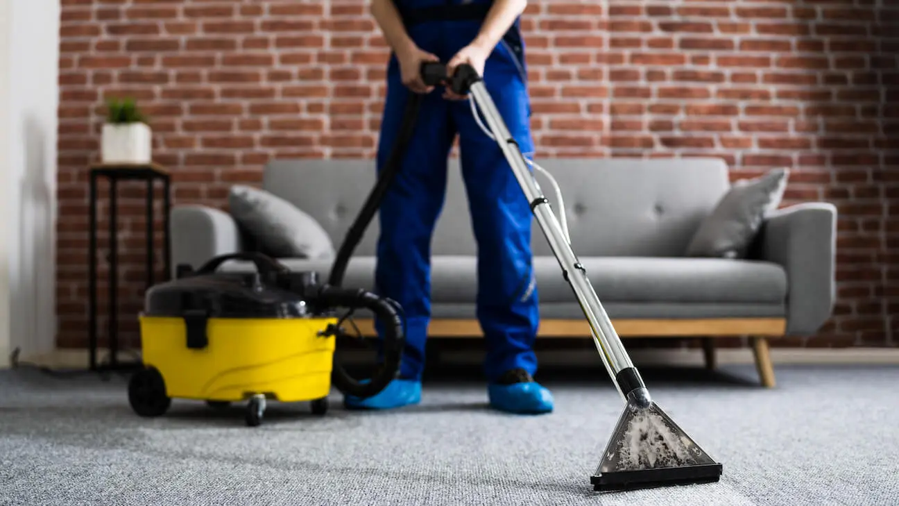 Eco-friendly cleaning services - carpet cleaner